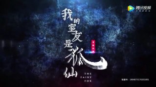 My roommate is a fairy fox